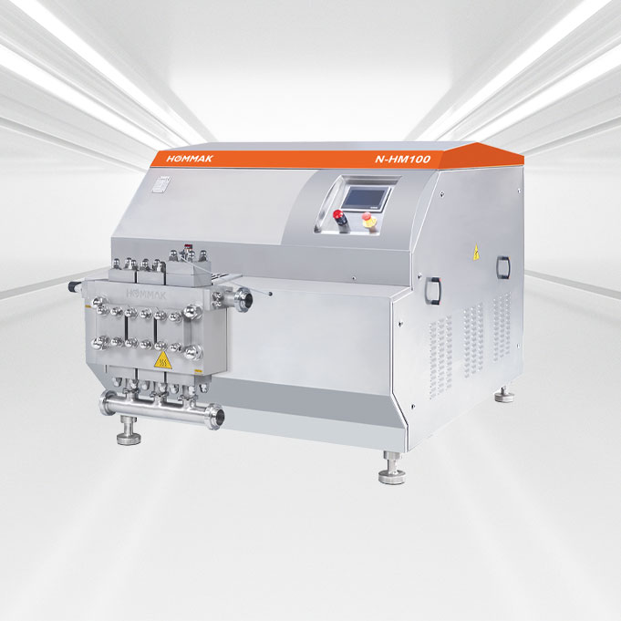 hommak-piston-pompa-n-hm100