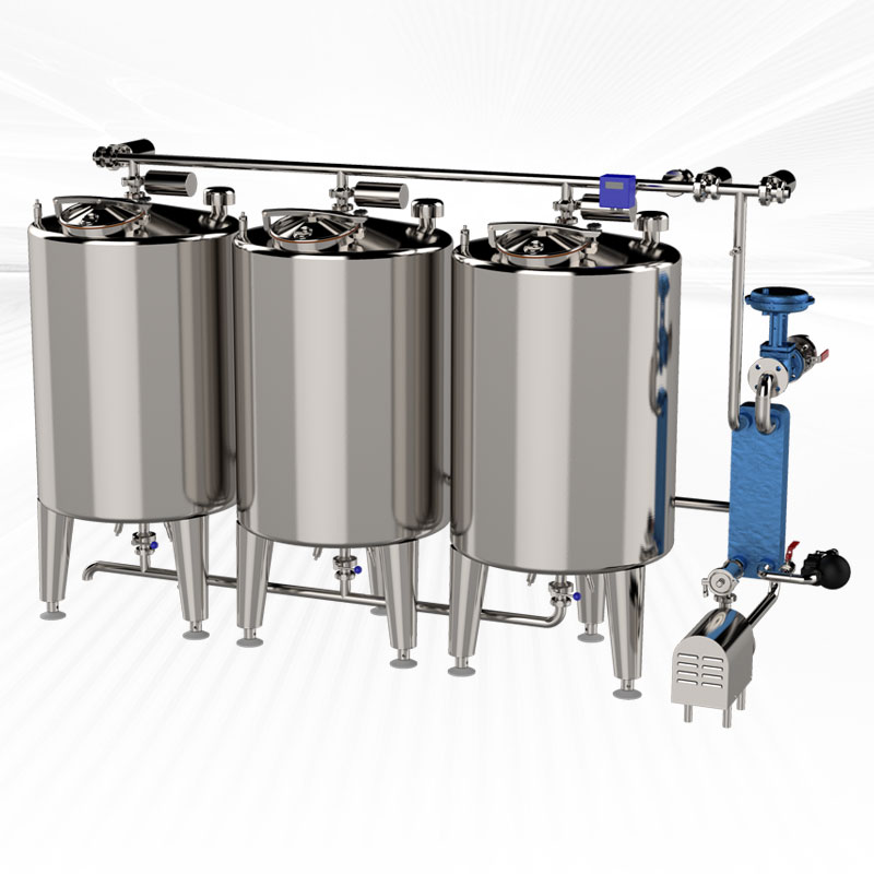 CIP-tesis-2