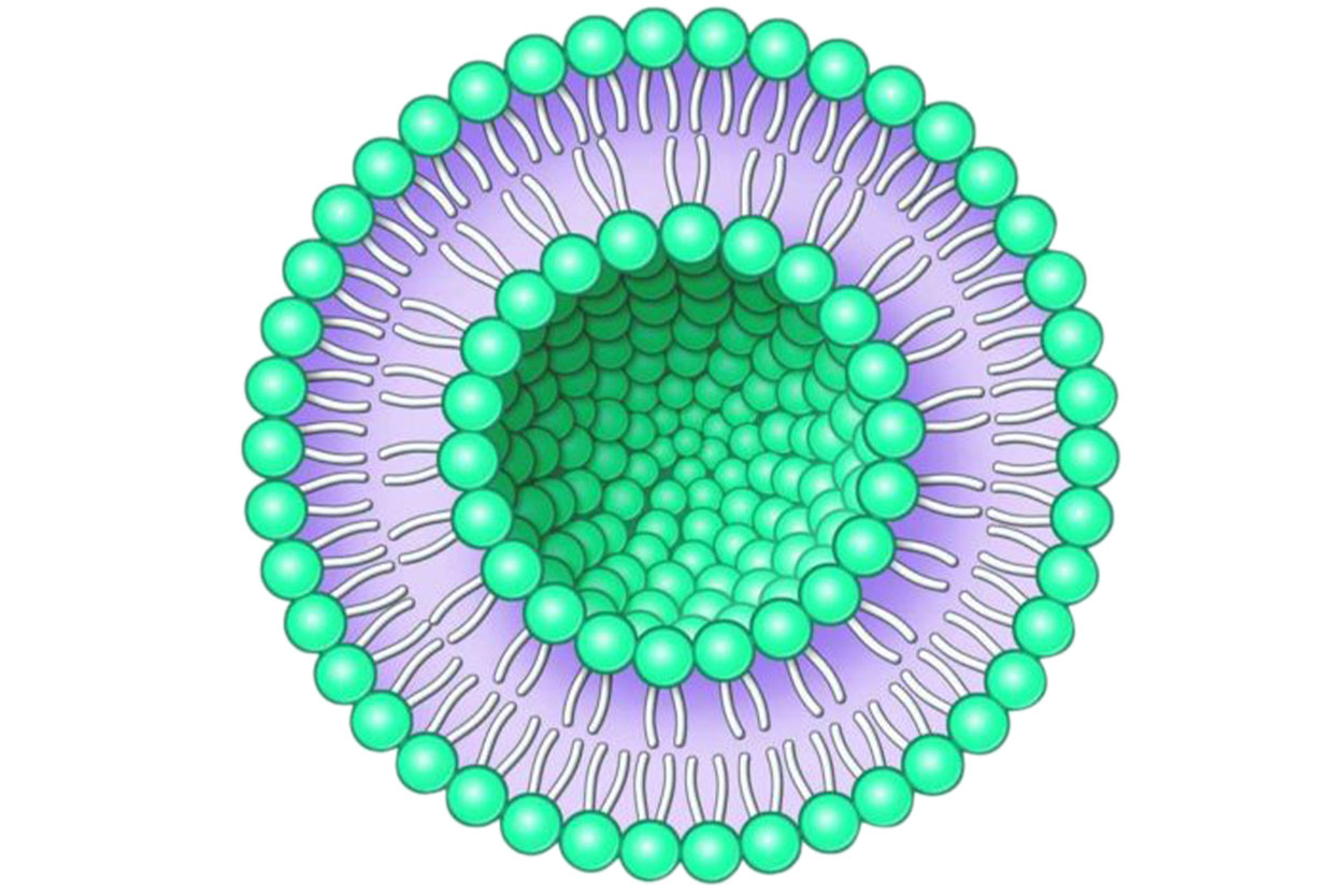 Hommak Homogénéisateurs dans la Production de Liposomes