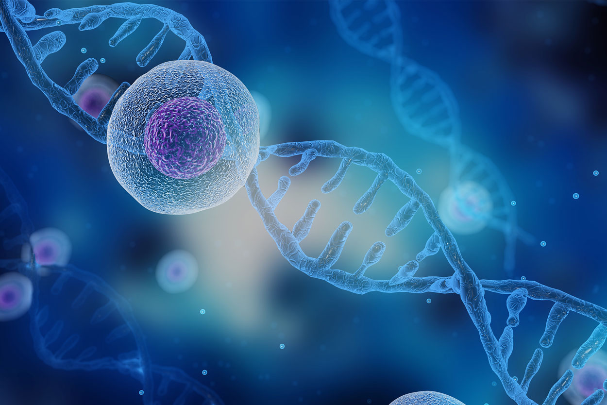 Homogénéisateurs dans la Production de Cellules Souches