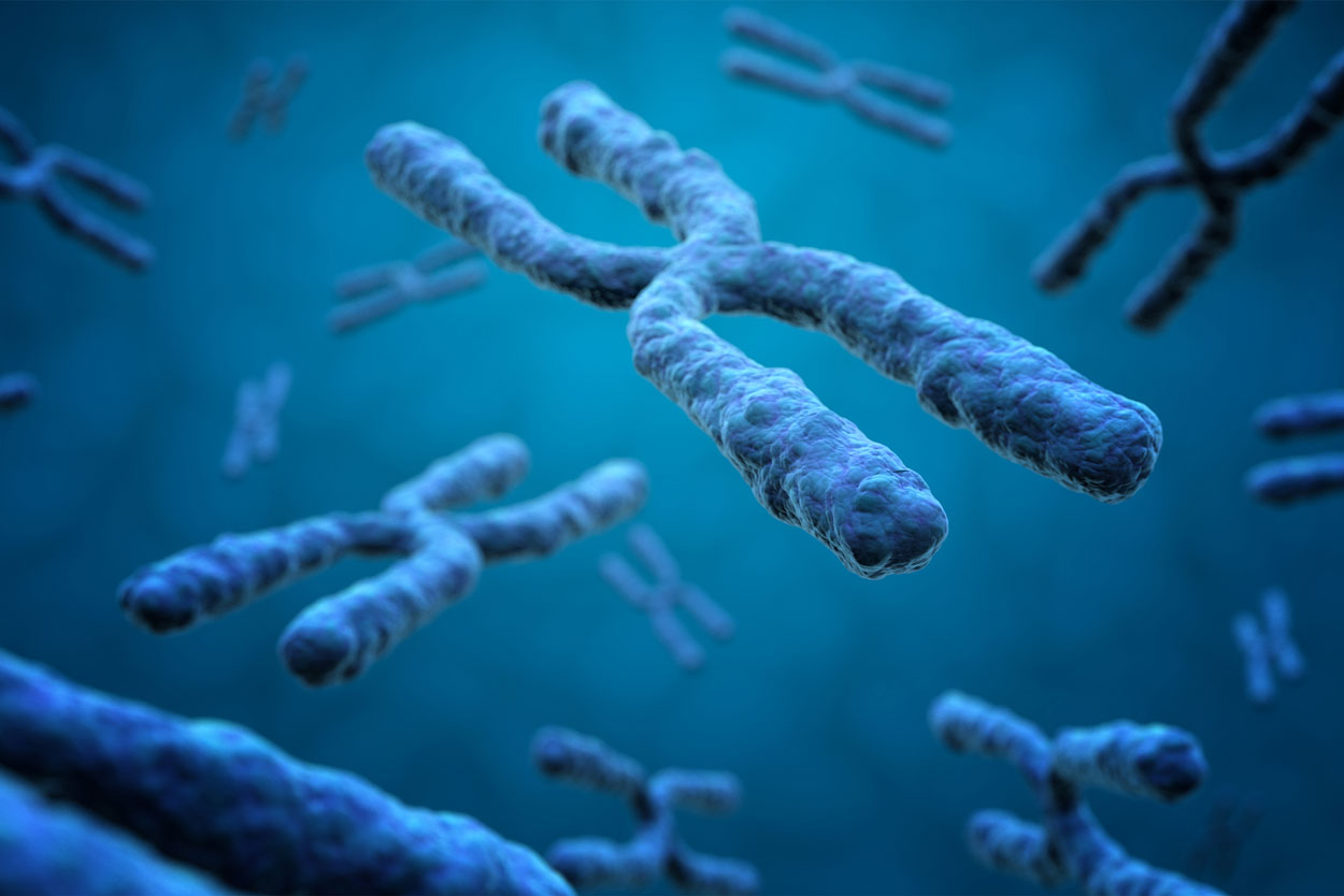 Le Rôle des Homogénéisateurs en Biotechnologie