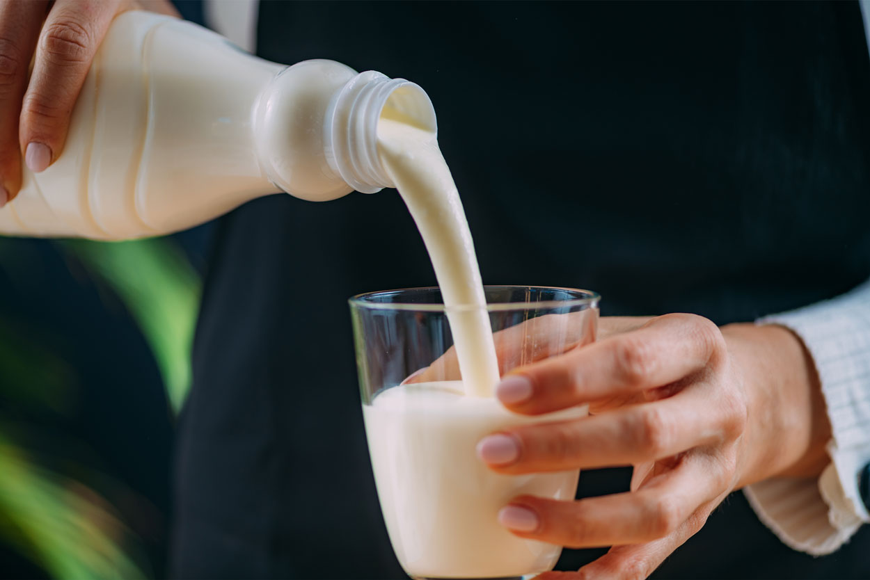 Le Rôle des Homogénéisateurs dans la Production de Kéfir