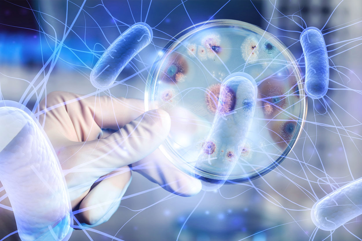 Rôle des Homogénéisateurs dans la Production de Probiotiques