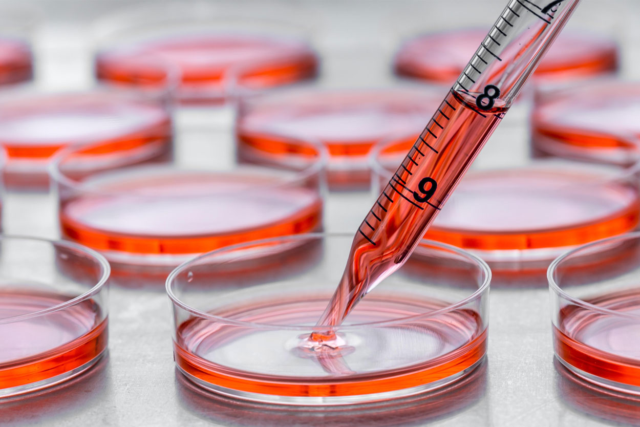 Homogénéisateurs Haute Pression en Biotechnologie